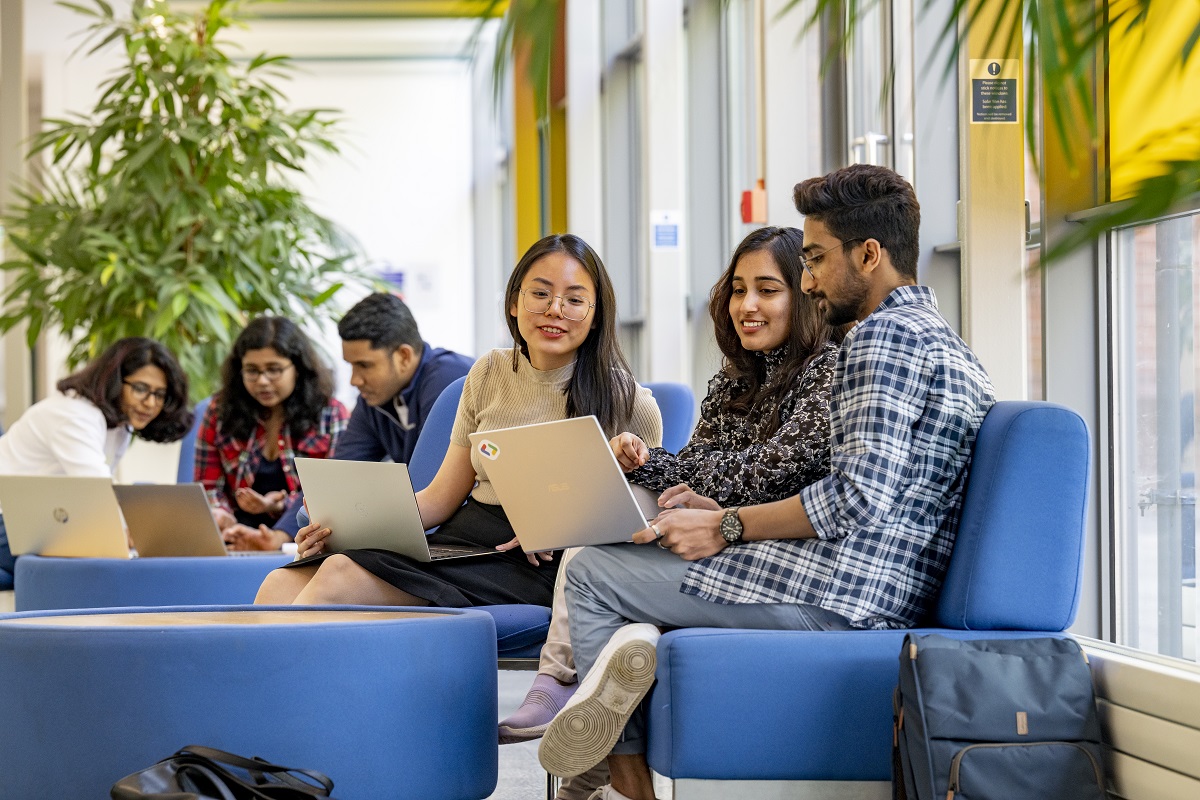 Group of students in communal working area comparing information on laptop screens