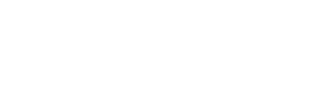 University of Southampton Delhi